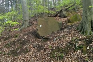Ein Stein im Wald wurde bemalt und sieht aus wie ein Gesicht