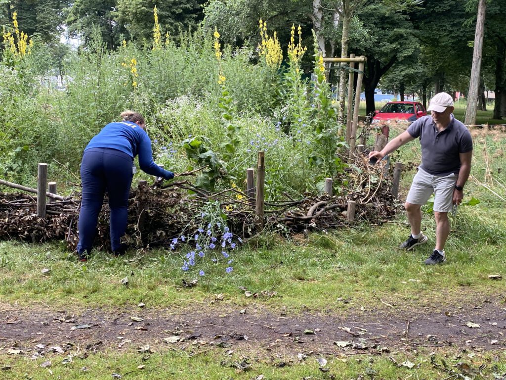 Eine Hecke mit vielen aufgetürmten Ästen.