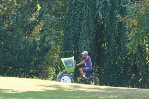 Eine Rikscha am fahren vor einem großen Baum