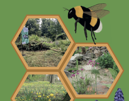 Die Entstehung des Hummelprojektes