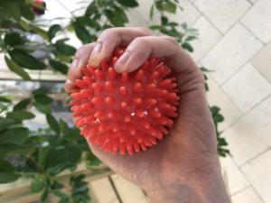 Das Bild zeigt einen häufig verwendeten Noppenball in der Ergotherapie.
