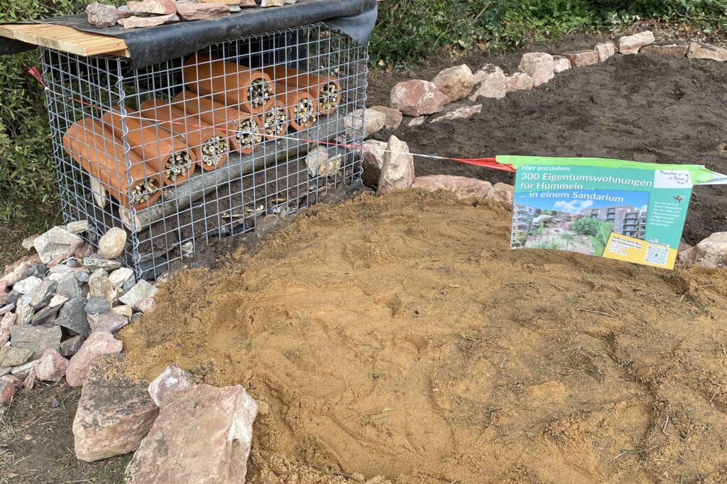 Ein Sandhügel mit Steinen darum