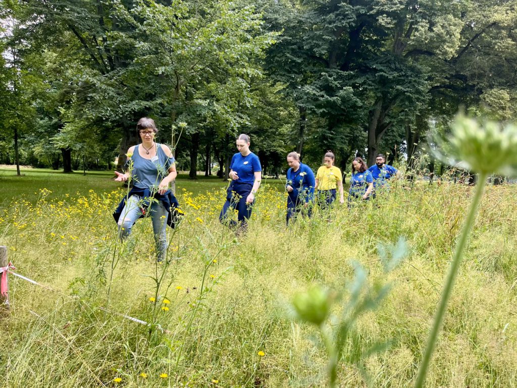 Alle laufen in einer Reihe über eine Wiese. Im Hintergrund sind Bäume zu sehen.