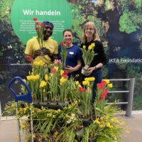 Mitarbeiter vom Ikea Hanau stehen mit Sylvie vor der diesjährigen Blumenzwiebel-Spende