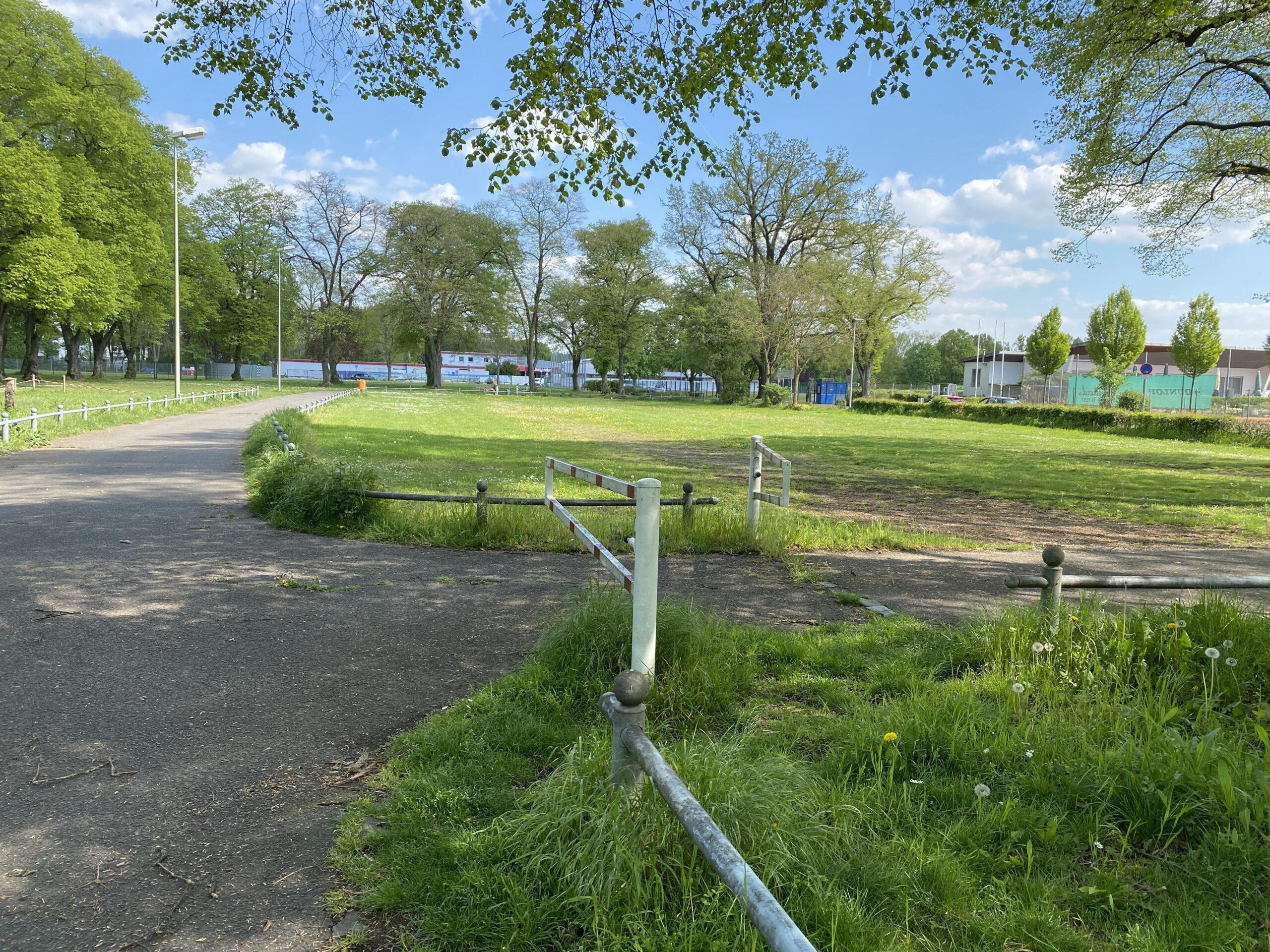 Grüne Wiese und Wege im Lindenaupark