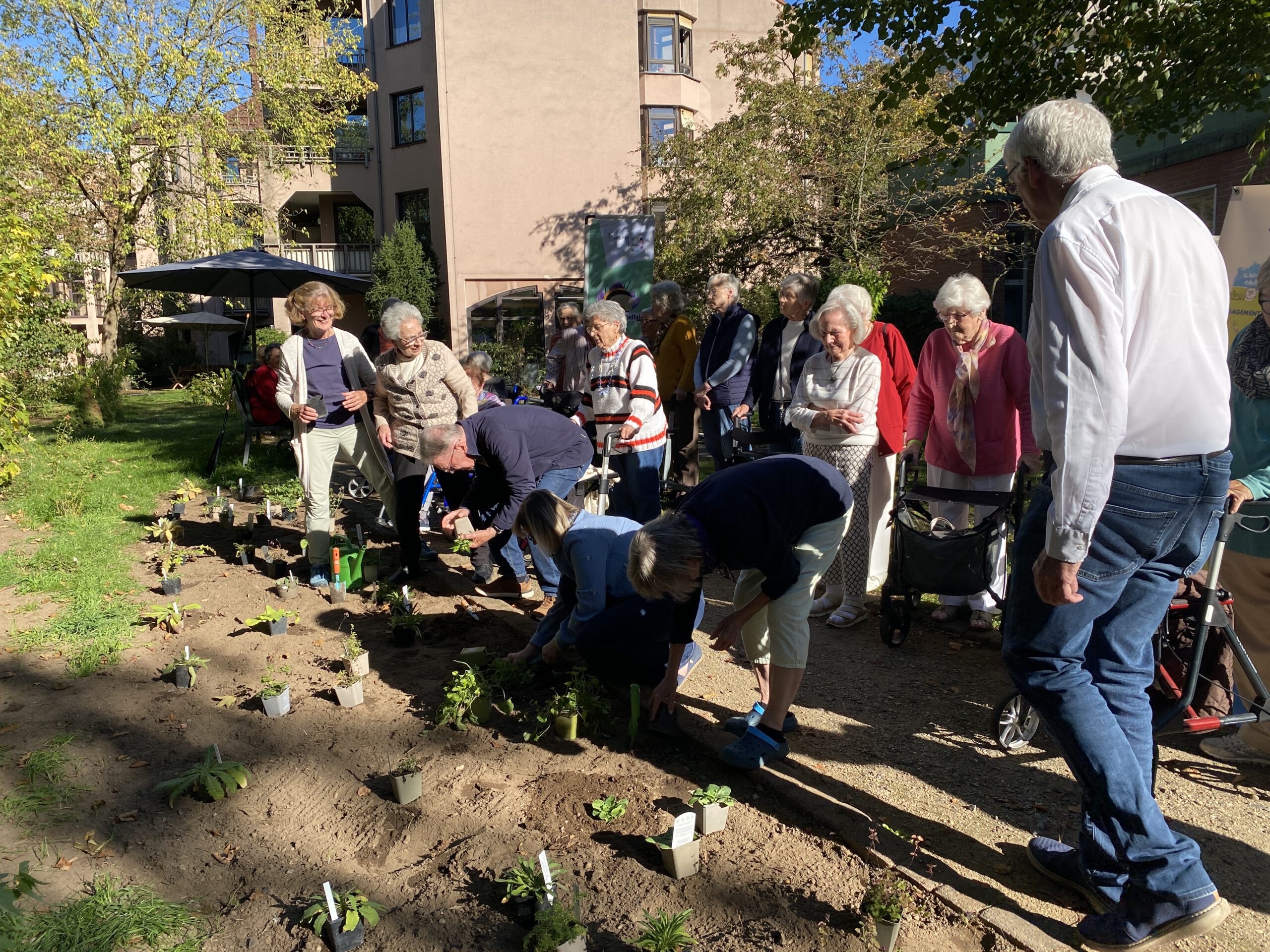 Mehrere Menschen bücken sich über das Beet und pflanzen, andere stehen daneben und schauen zu.