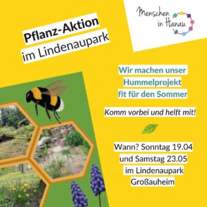 eine Hummel und mehrere grünflächen im Lindenaupark sowie die Aufschrift: Pflanz-Aktion