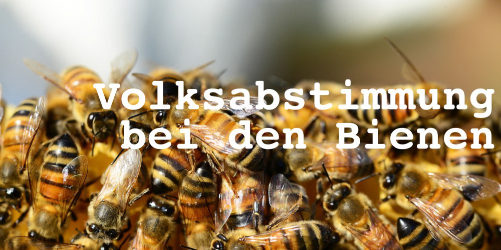 Redet mit “Volksabstimmung bei den Bienen”
