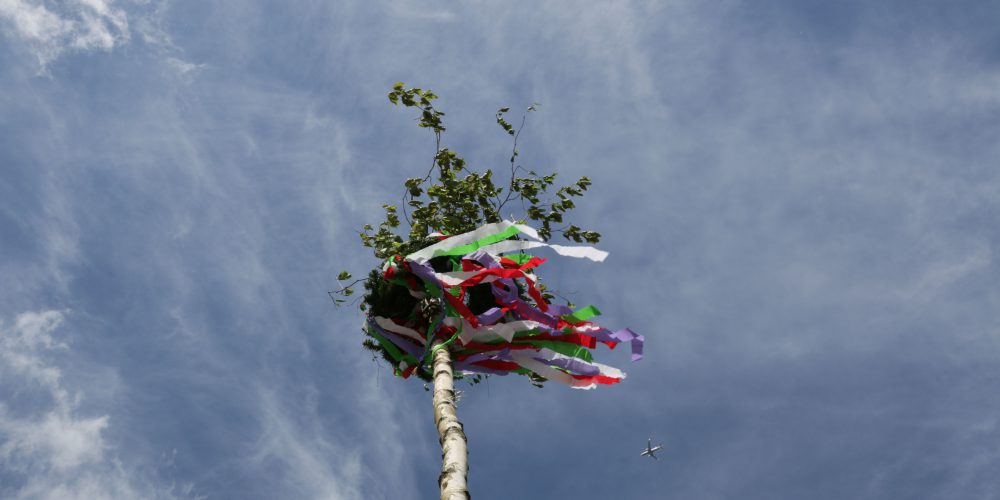 Krone eines Maibaums von unten mit Blick in den Himmel fotografiert.
