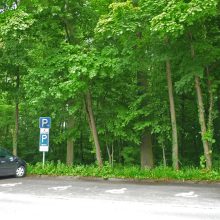 Behindertenparkplatz (4 Stellplätze) – Burgallee (vor Herbert-Dröse-Stadion), 63454 Hanau