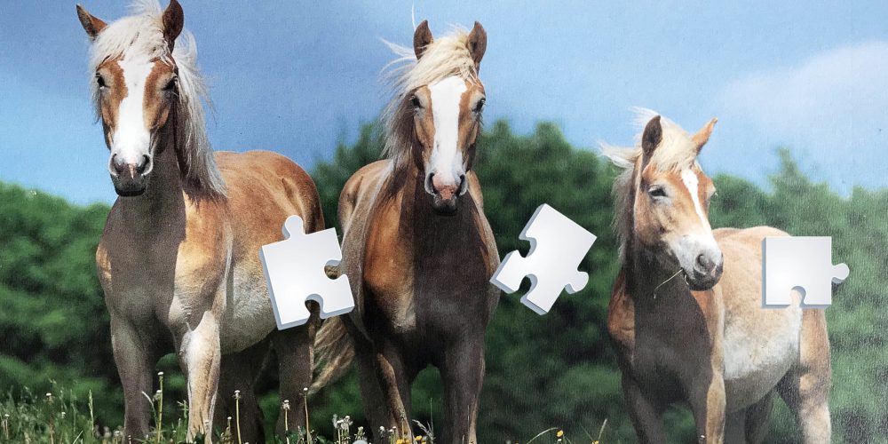Pferde-Puzzle -Foto mit 3 Pferden und Puzzleteilen