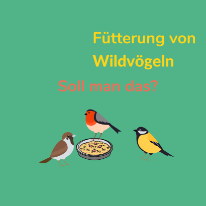 Um-Welt-Werk-Stadt: Fütterung von Wildvögeln &#8211; soll man das?