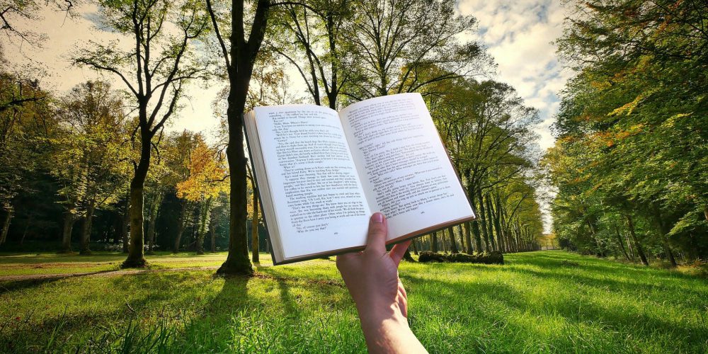 Im Hintergrund ist ein Wald zu sehen, davor ein Hand die ein Buch aufgeschlagen in die Luft hält.