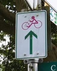 Auf einem Schild am Emsradweg ist ein magentafarbener Handbiker zu sehen, darunter ein grüner Pfeil, der die Richtung angibt.