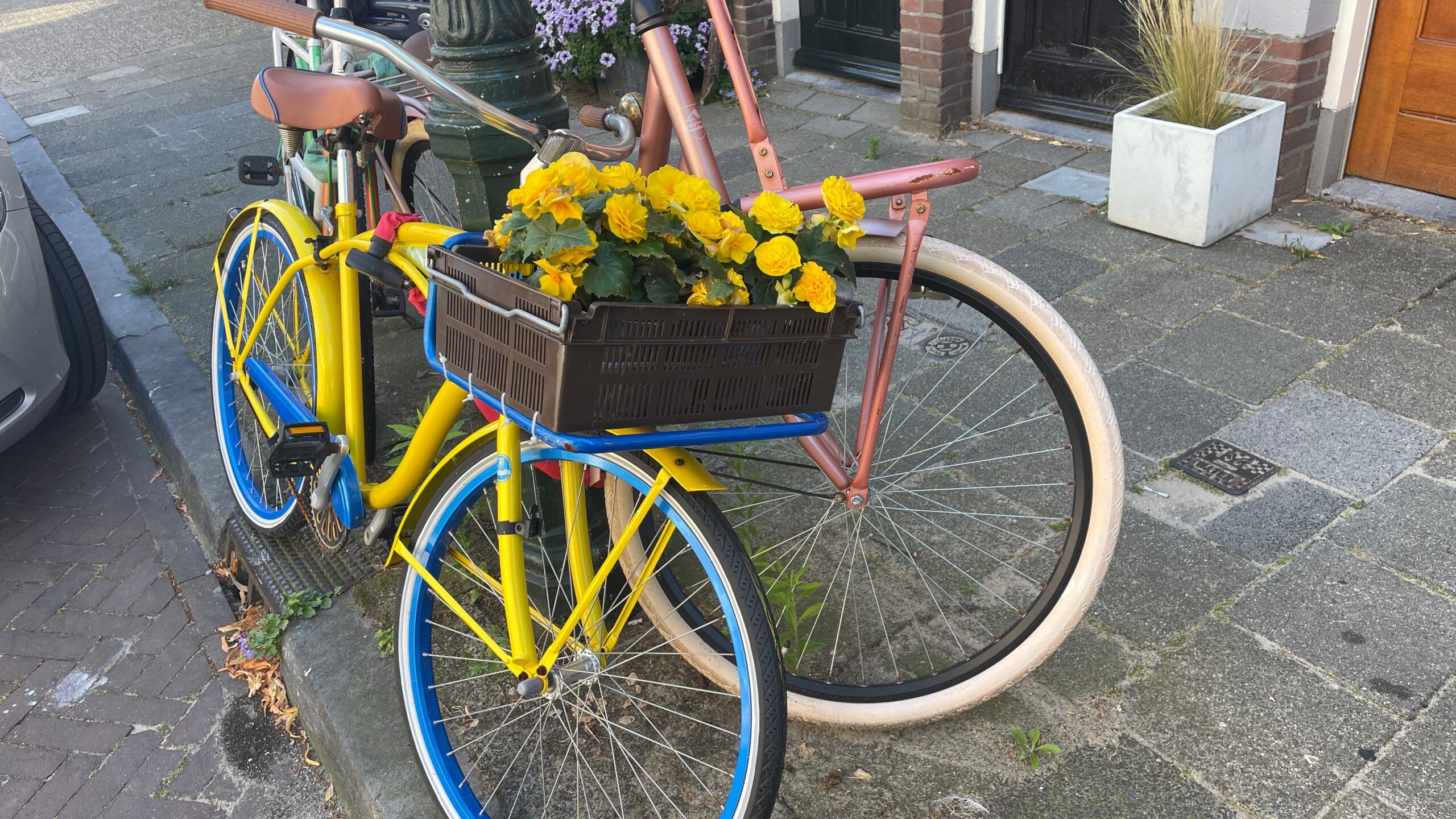 Zwei Fahrräder die an eine Laterne anlehnen sind abgebildet. Eins ist gelb und hat gelbe Blumen im Korb.