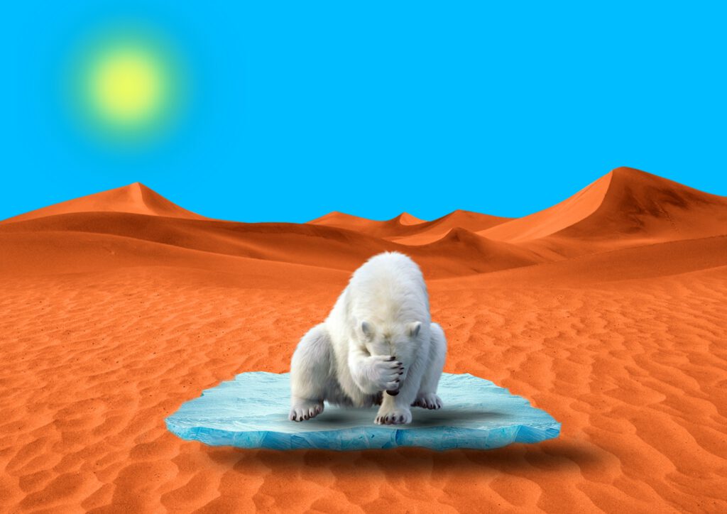 Eisbär auf Eisscholle in der Wüste